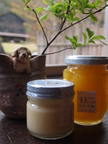 【 山笑う 展 】