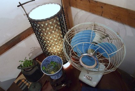 雰囲気を楽しみました