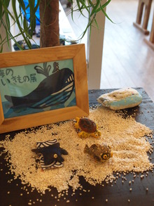 海のいきもの展へ