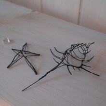 海のいきもの展へ