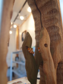 海のいきもの展へ