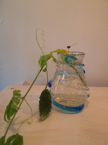 海のいきもの展へ