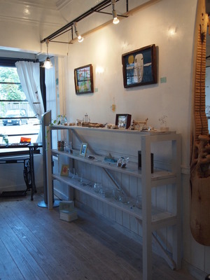 海のいきもの展へ