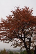 明日香村へ　②
