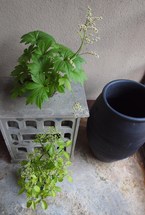 FUKURO展　＆　関宿