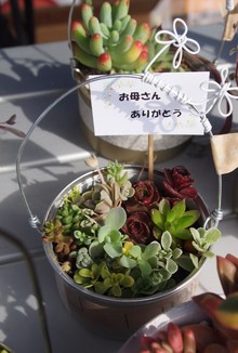 いいもん市に♪