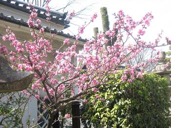 御香宮神社と伏見稲荷大社♪