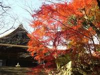 三井寺