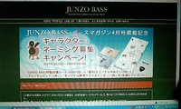 カモネギキャンペーン！？
