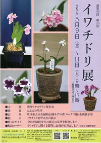 第26回　イワチドリ展
