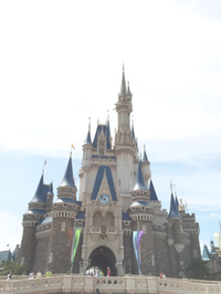 ディズニーランド(﹡ˆ︶ˆ﹡)♬*