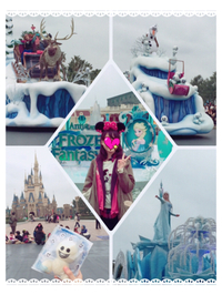 雨のディズニーランド(*^▽^*)ゞ