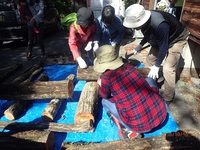 キノコの森の探検「キノコの菌打ちと薪割り体験」