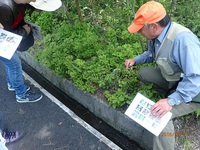 春の自然観察会「樹の赤ちゃんを探そう」