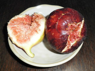 栗東名産　イチジク