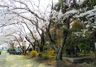御神神社前の公園
