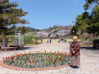 近江富士花緑公園 で お花見
