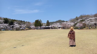 近江富士花緑公園 で お花見