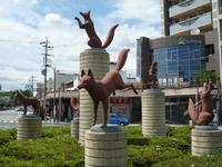 ２０１１－２０１２シーズン　ＯＳＧスクエア練習見学