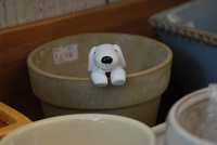 Baby Roseさん♪（その2）