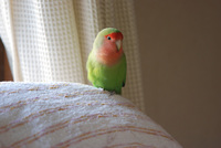 今年最初の写真♪