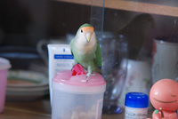 今年最初の写真♪