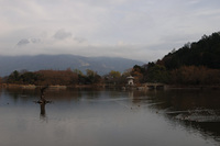 三島池♪(その3）