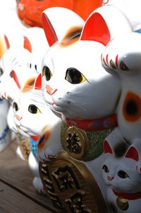 招き猫♪
