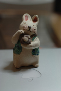 新しい仲間♪