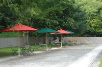 MIHO MUSEUM♪