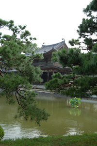 宇治の平等院♪(その4)
