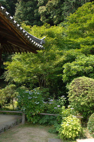 三室戸寺♪(その5)