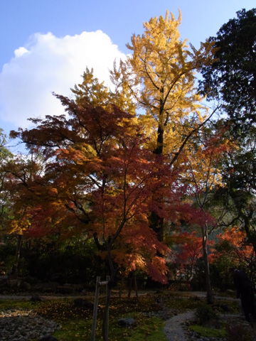 永源寺♪