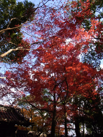 永源寺♪