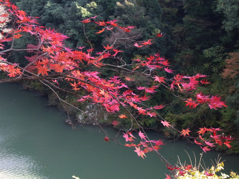 永源寺♪(その2)