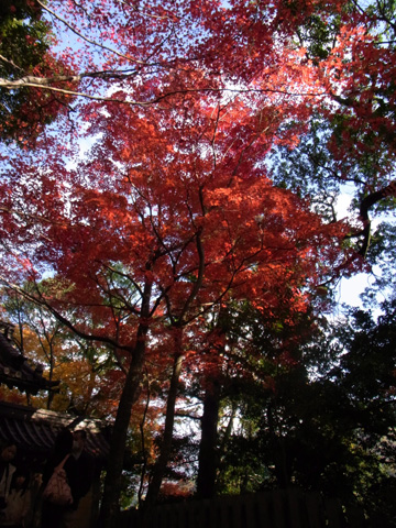 永源寺♪(その2)