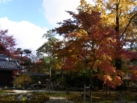 永源寺♪(その3)