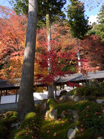永源寺♪(その3)