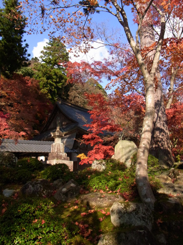 永源寺♪(その3)
