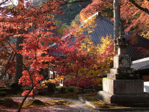 永源寺♪(その4)