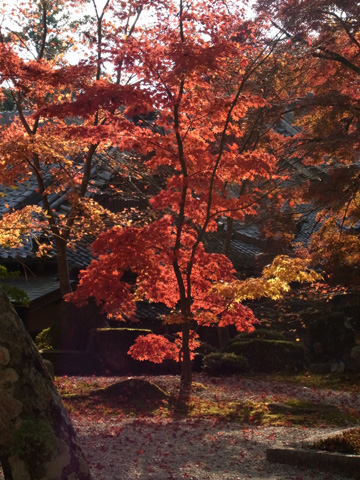 永源寺♪(その4)