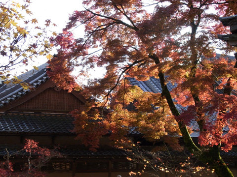 永源寺♪(その4)