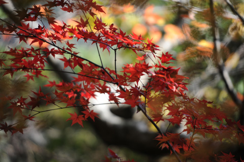 永源寺♪(その5)