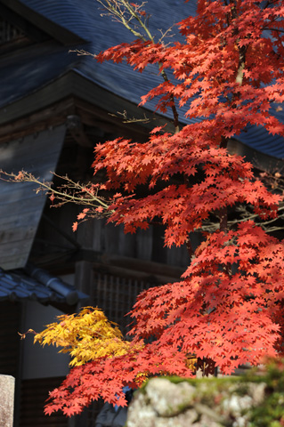 永源寺♪(その8)