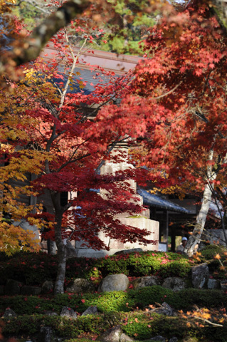 永源寺♪(その8)