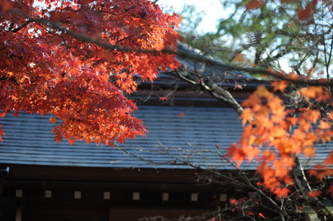 永源寺♪(その10)