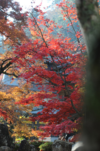 永源寺♪(その11)