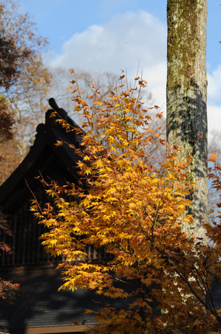 永源寺♪(その13)