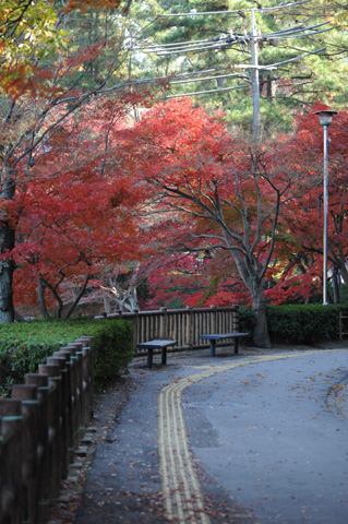 岡崎東公園♪(その2)