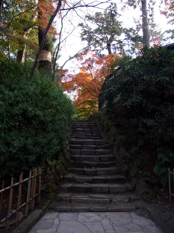 岡崎公園♪(その3)